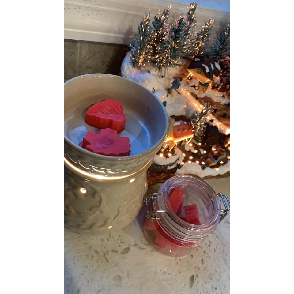 Holiday Sparkle Wax Melts - Beyond Beauty Bliss