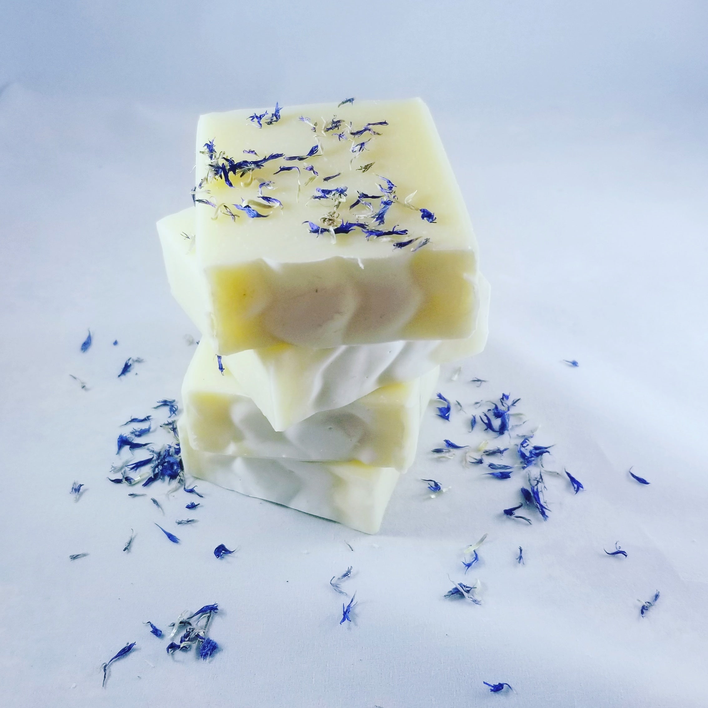 Plain Jane Soap Bar - Beyond Beauty Bliss